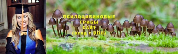 стаф Инсар