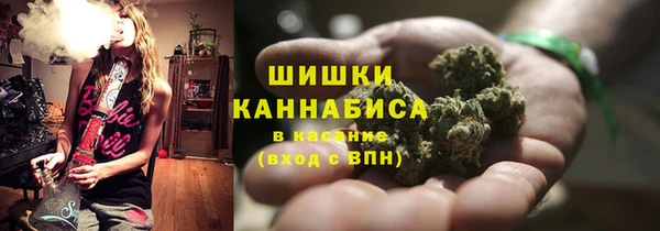 стаф Инсар