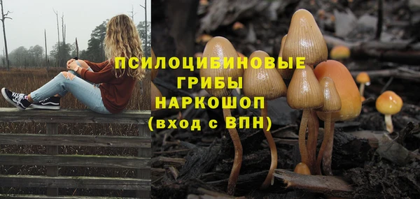 эйфоретик Иннополис