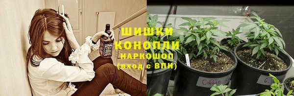 стаф Инсар