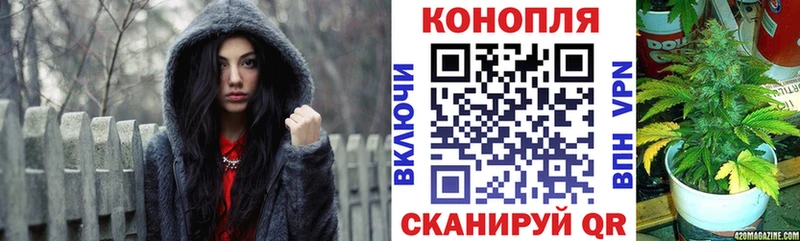 Бошки марихуана сатива Сельцо